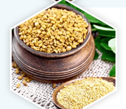 Fenugreek